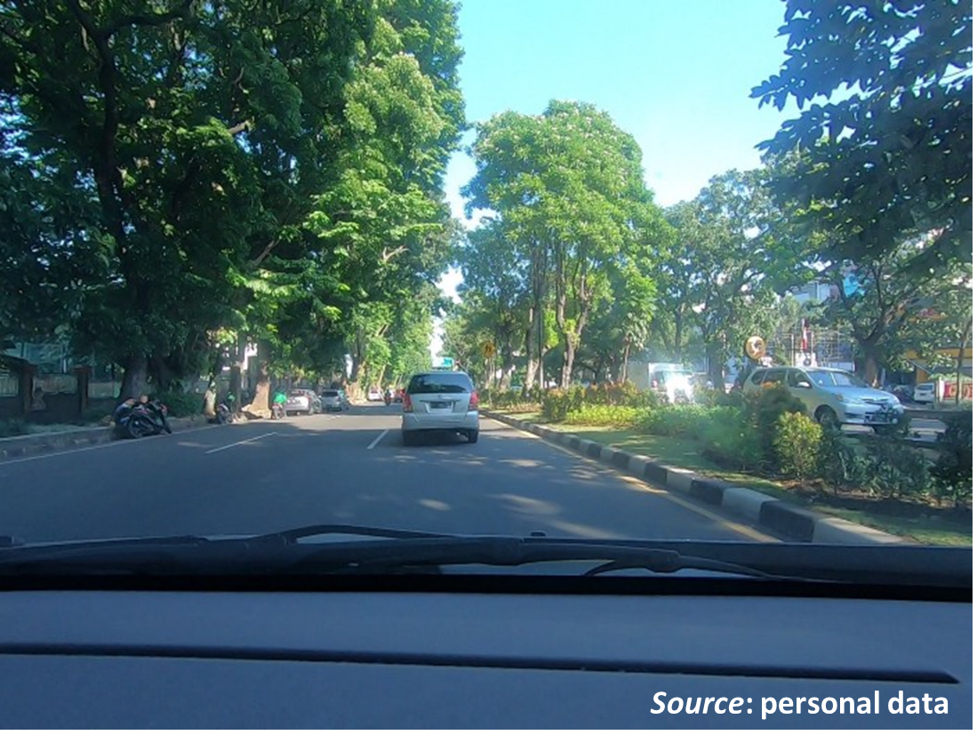 A picture containing text, tree, outdoor, road

Description automatically generated